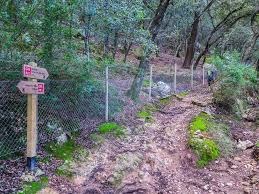 Abierto el tramo Selva-Caimari de la Ruta Artá-Lluc