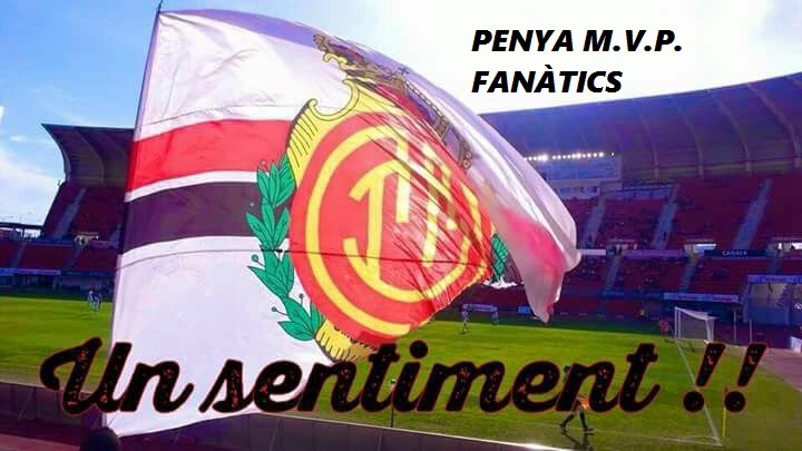 Desde 3 a 10 Euros para ver el  Playoff en Son Moix.