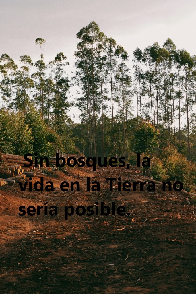 Veto a los cultivos que causan la deforestación